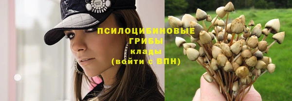 ALPHA PVP Вяземский