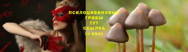 бутират Снежногорск