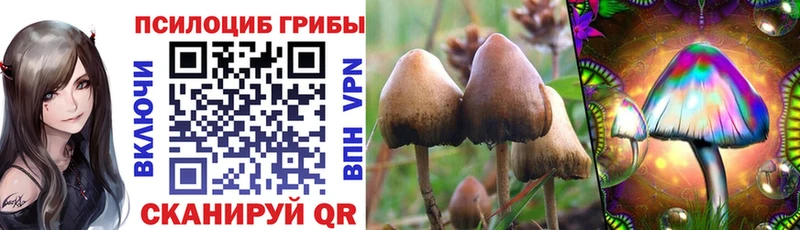 Галлюциногенные грибы ЛСД  Жиздра 